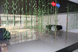 Company Environment