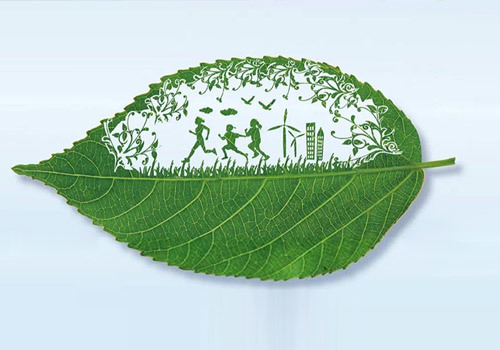 ECOLOGY