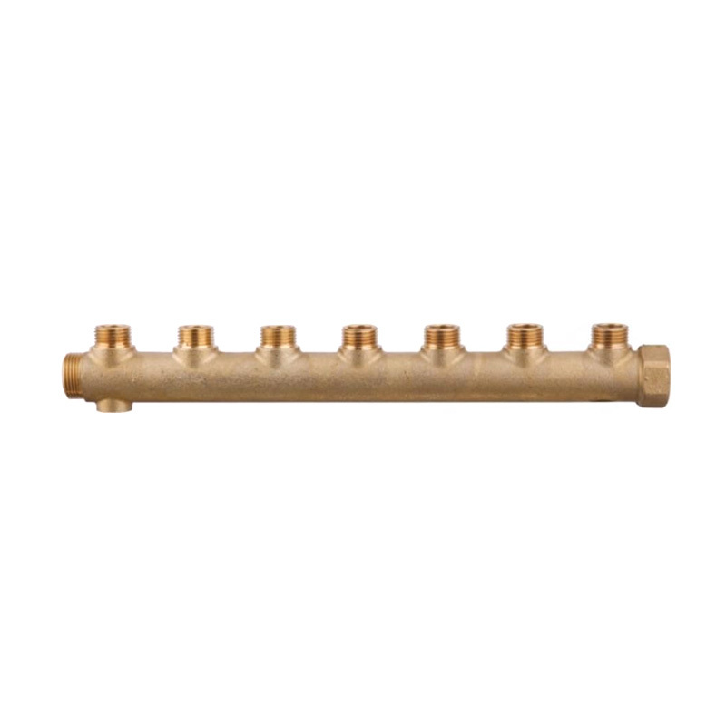 Brass Manifold