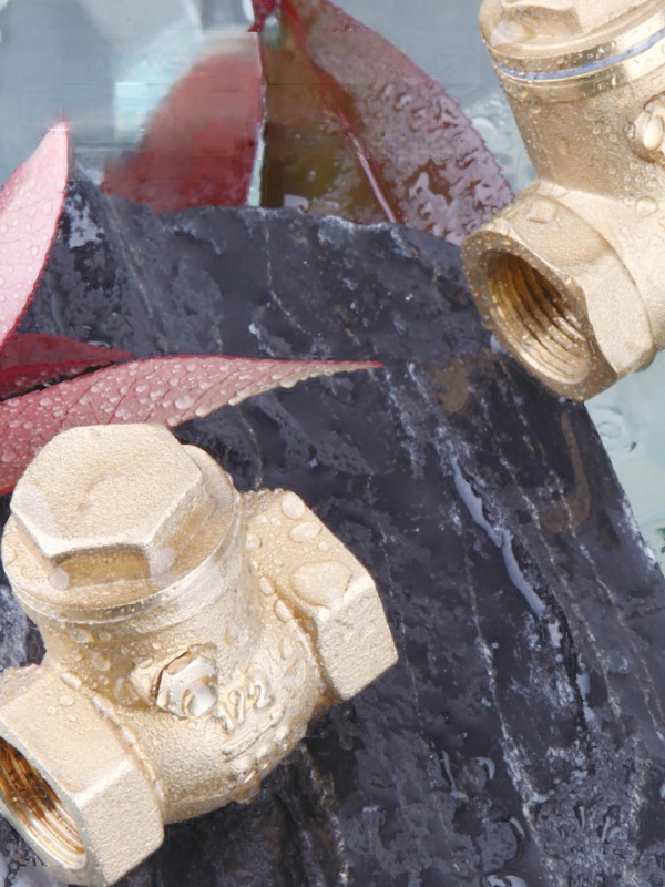 Check valves