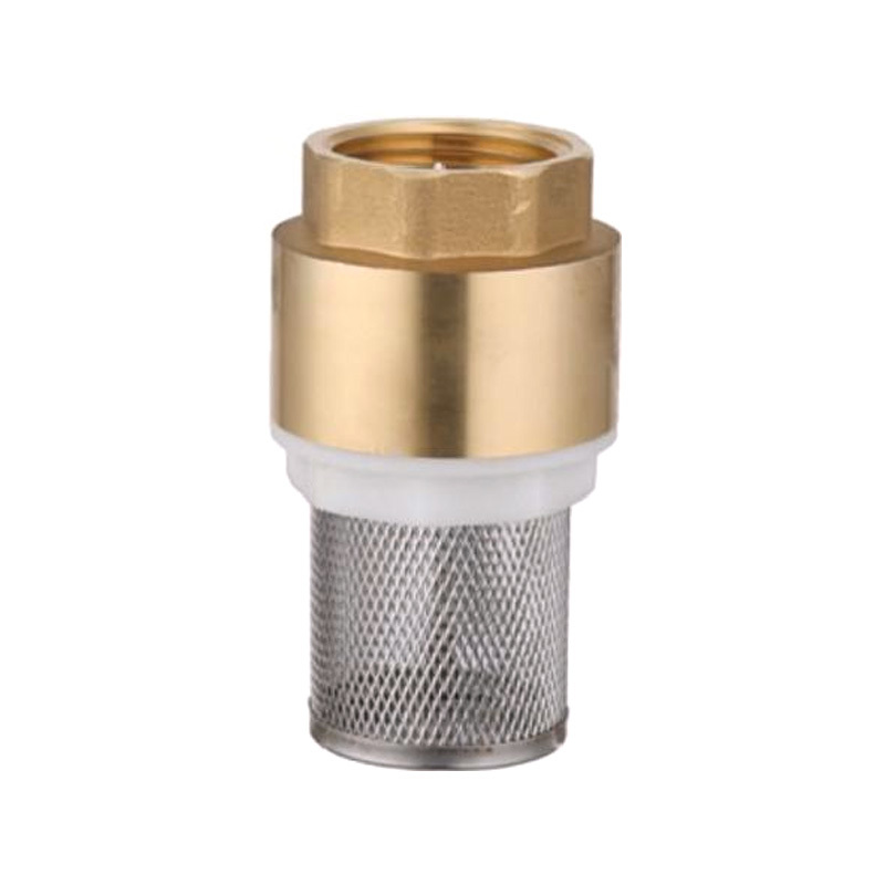 Brass Check Valve