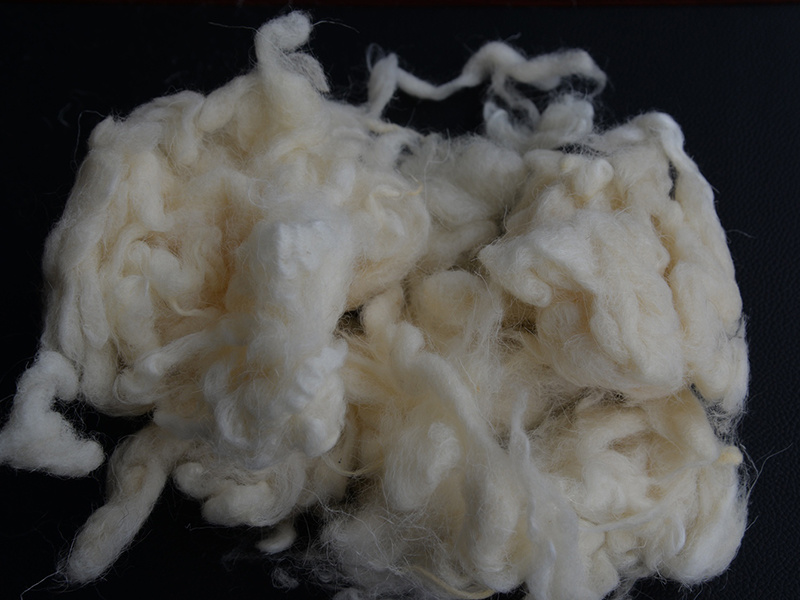 Machine washable mercerized shrink-proof wool Suitable for wool filling and wool fabric products