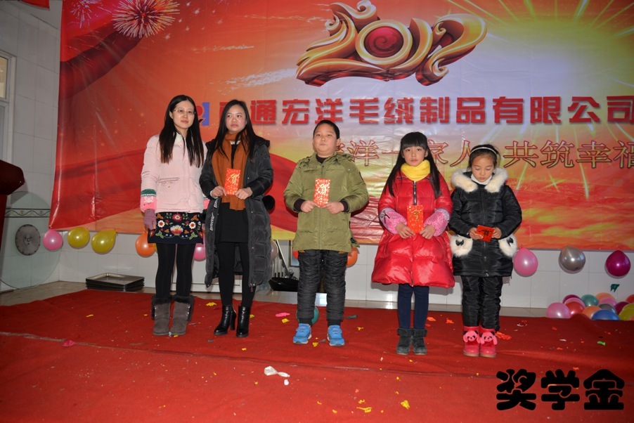 Nantong Hongyang Plush Products Co., Ltd.