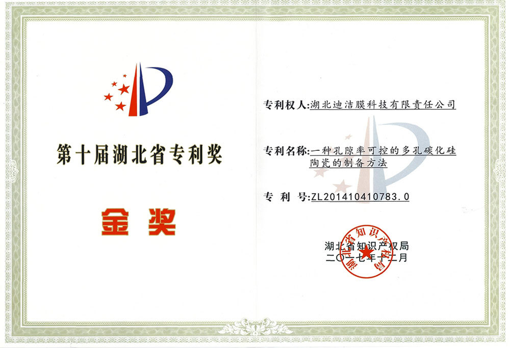 The tenth Hubei Patent Prize