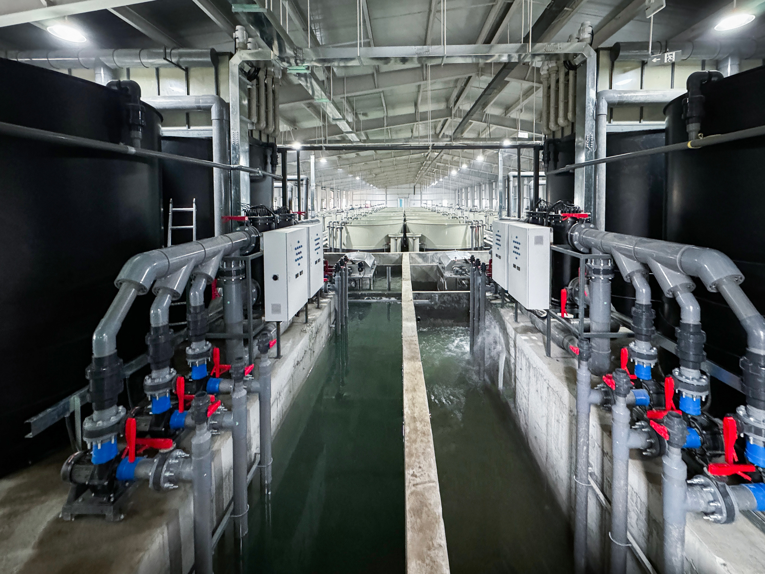 Zaozhuang fry system upgrading project