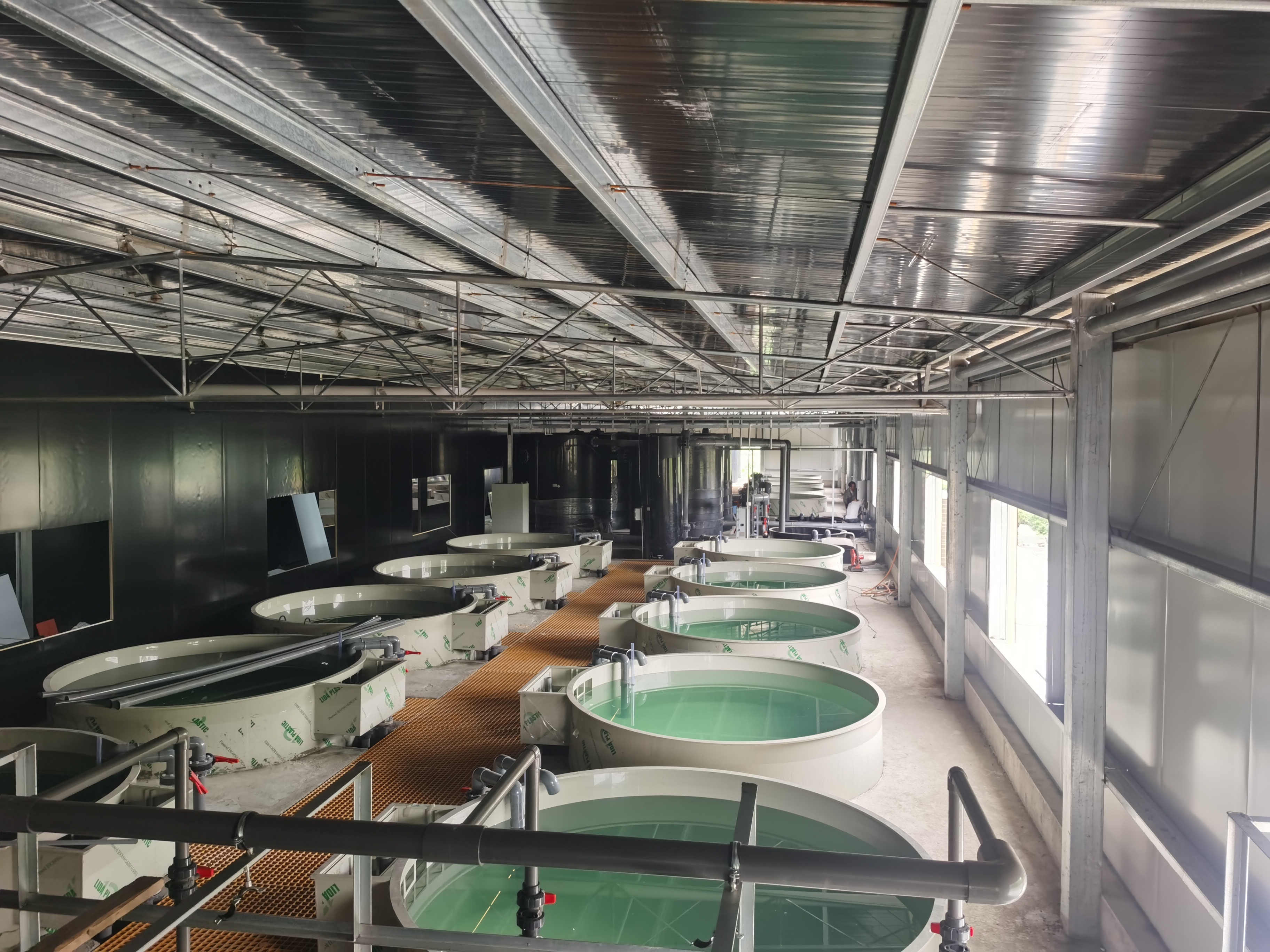 Dujiangyan project
