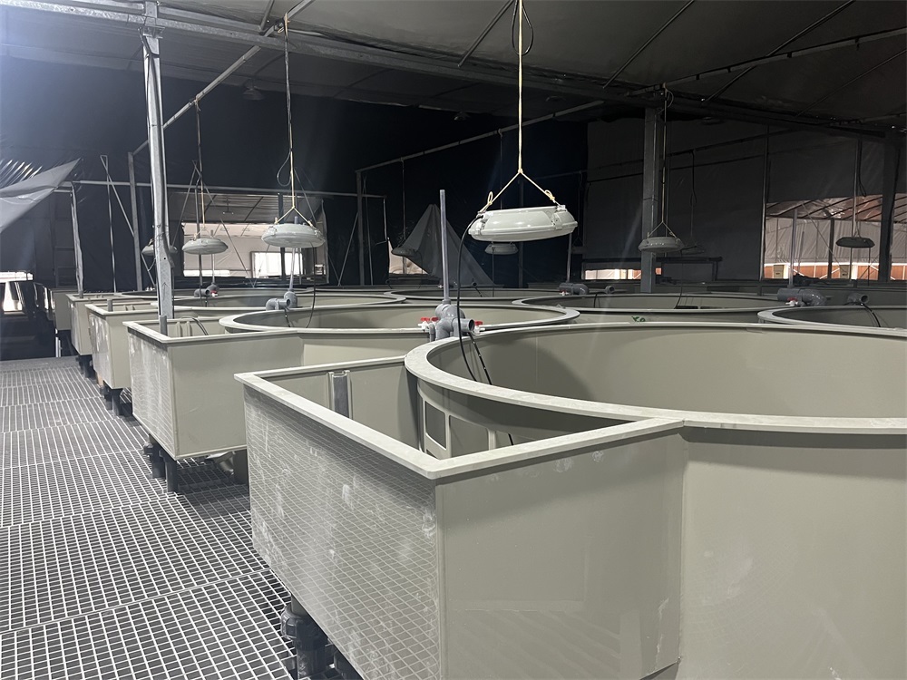Jiangsu Taicang Seedling System