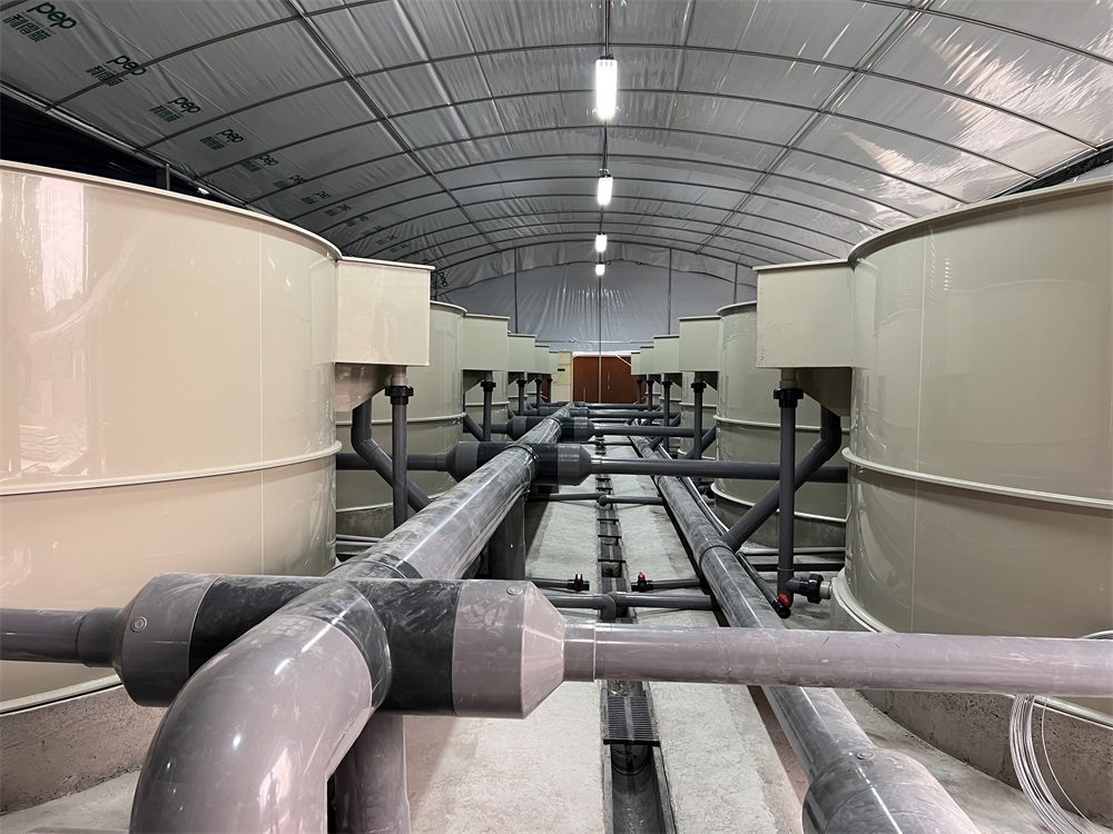 Jiangsu Taicang Seedling System