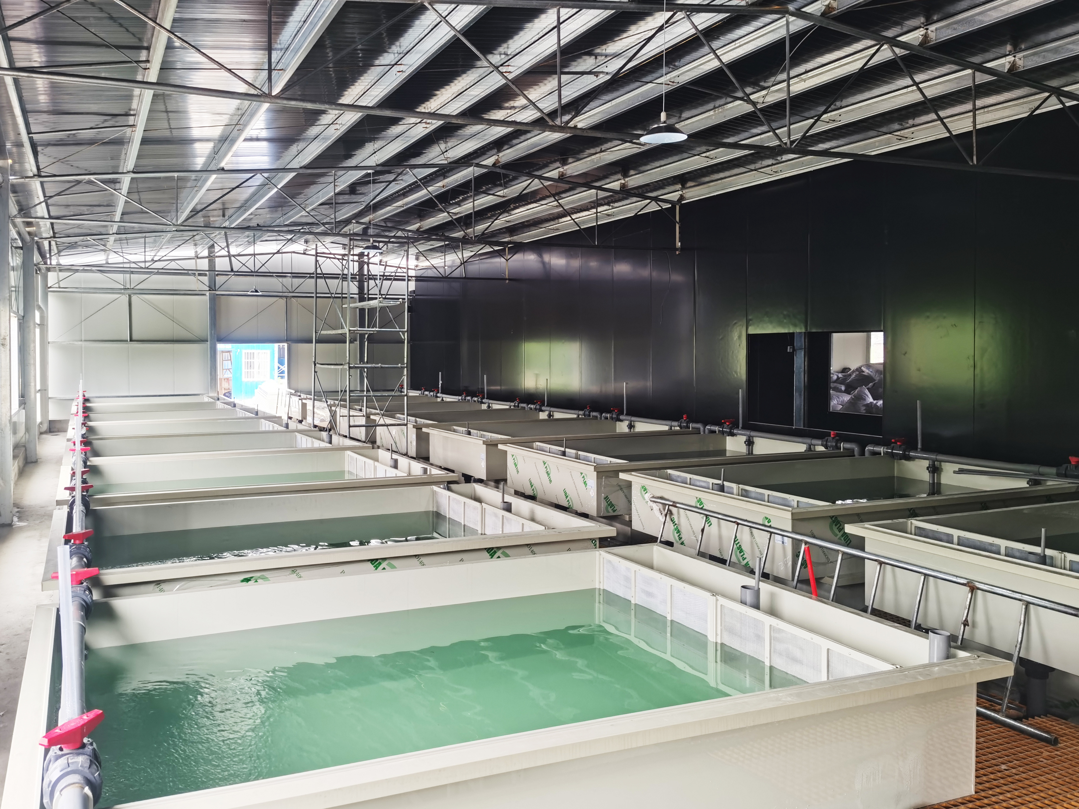 Dujiangyan project