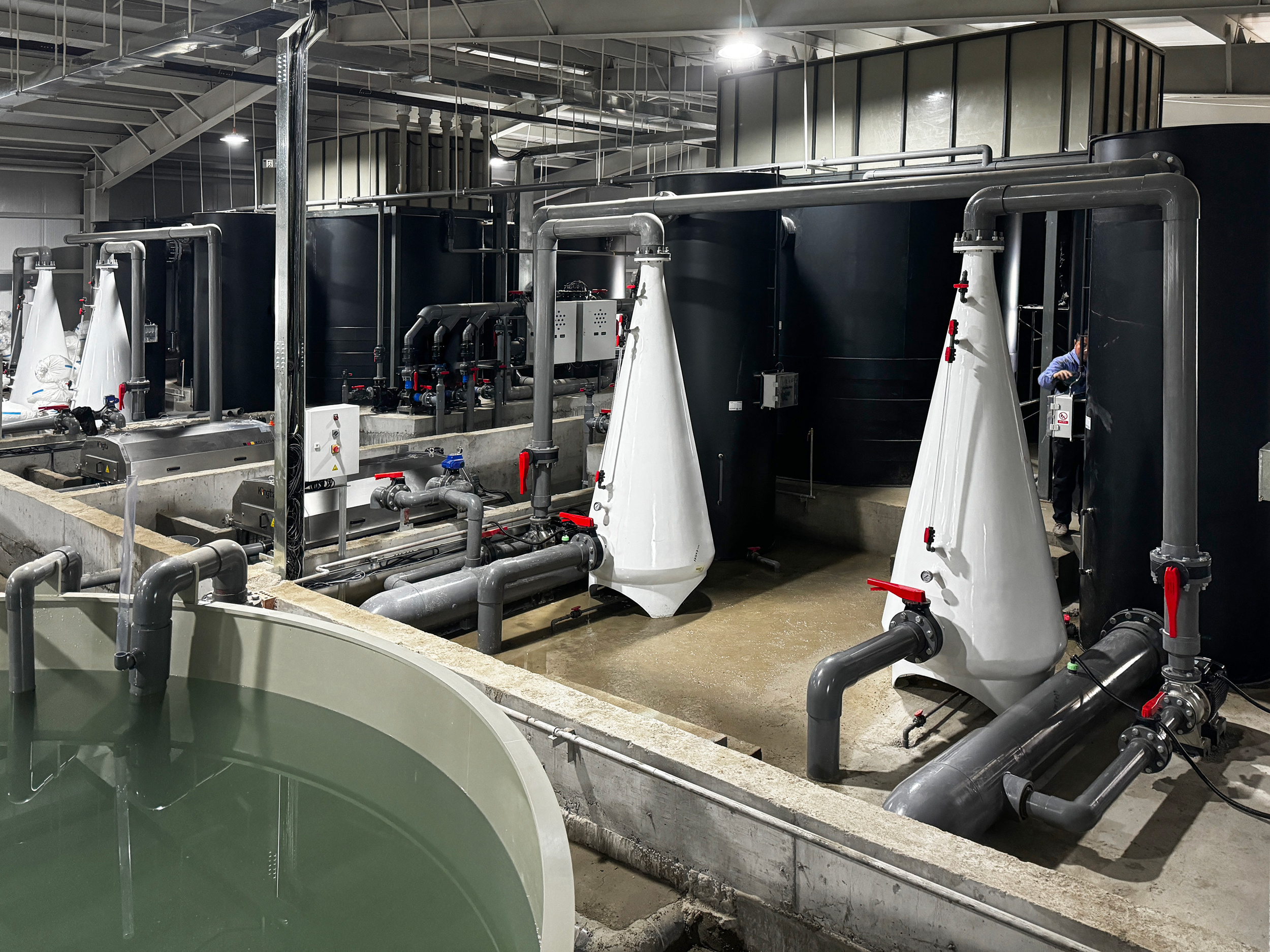 Zaozhuang fry system upgrading project