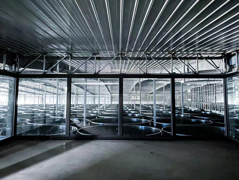 Fujian Nanping Eel Breeding
