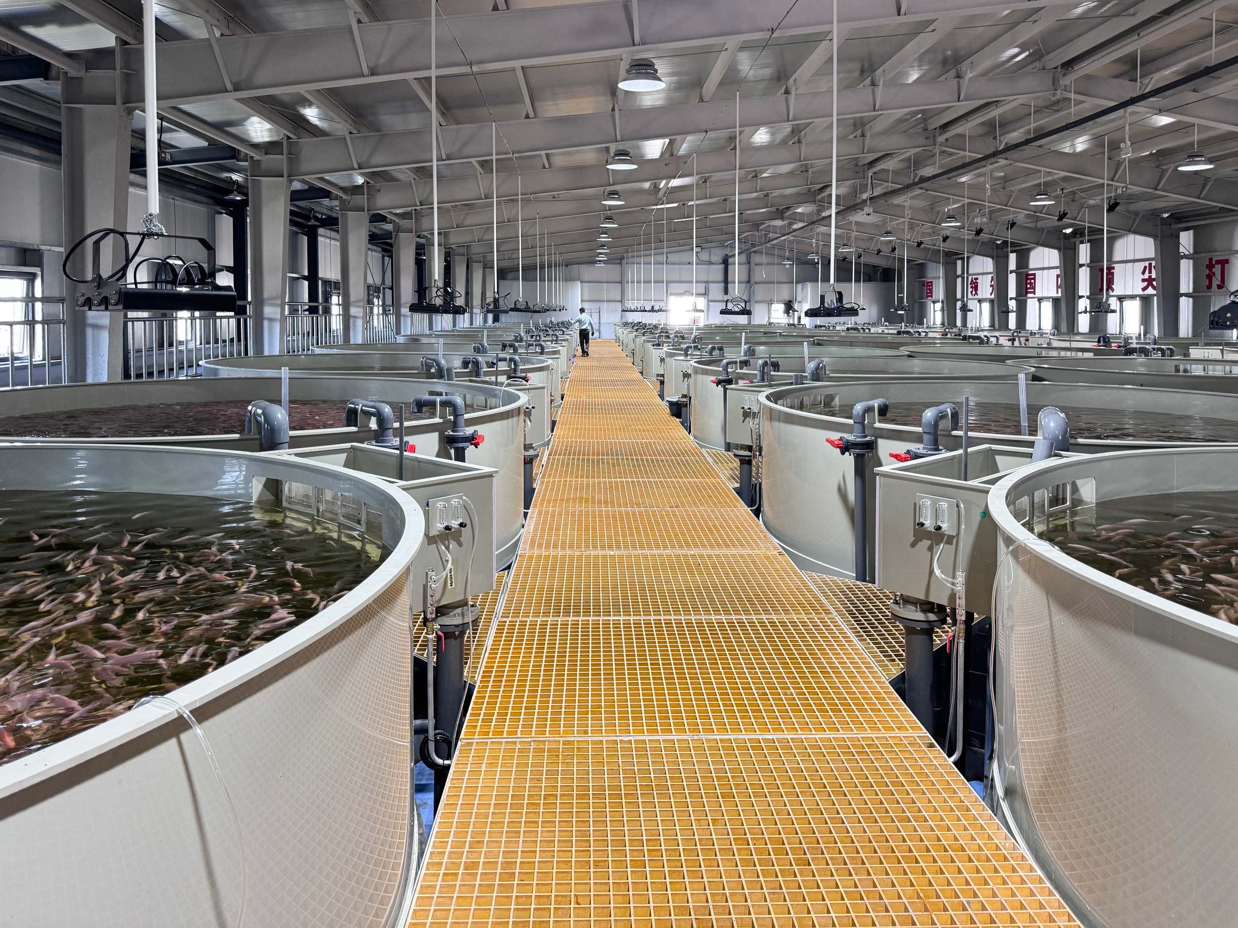 Zaozhuang fry system upgrading project