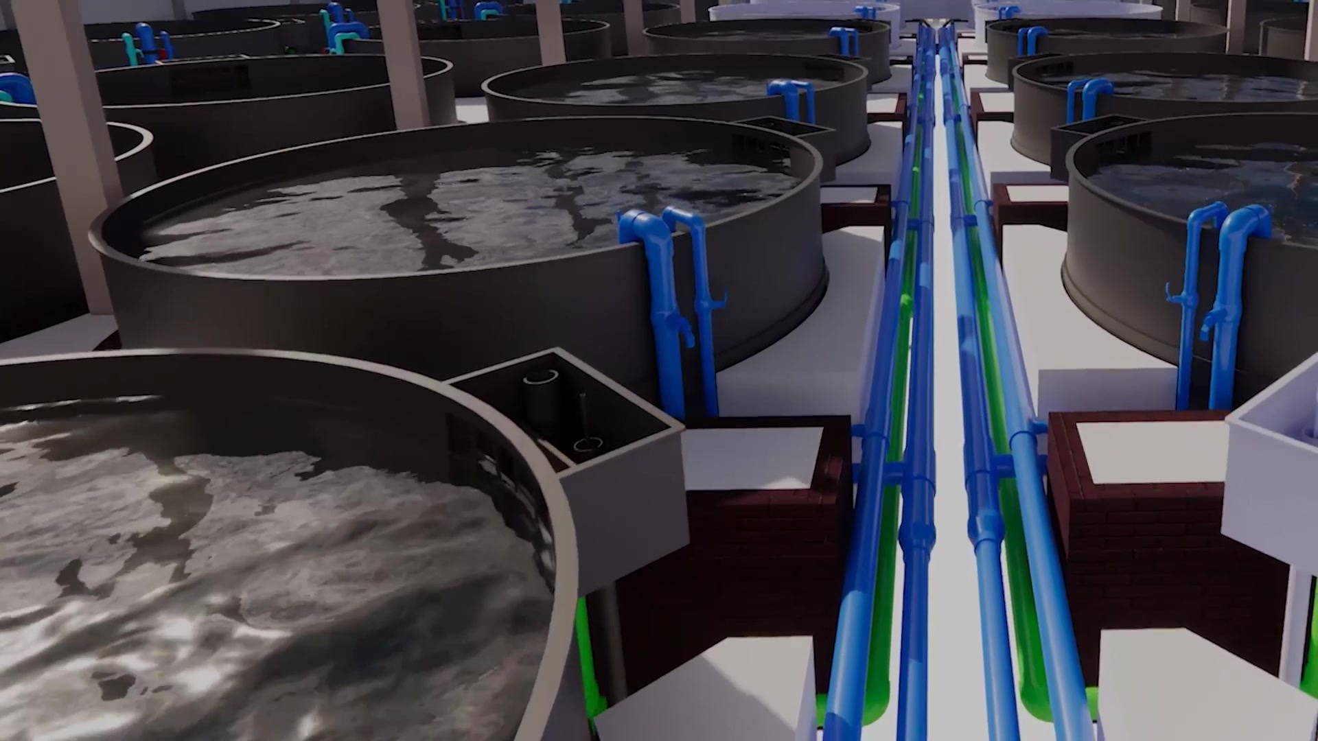 KINGTO Recirculating Aquaculture System Where Technology Meets Aquaculture.