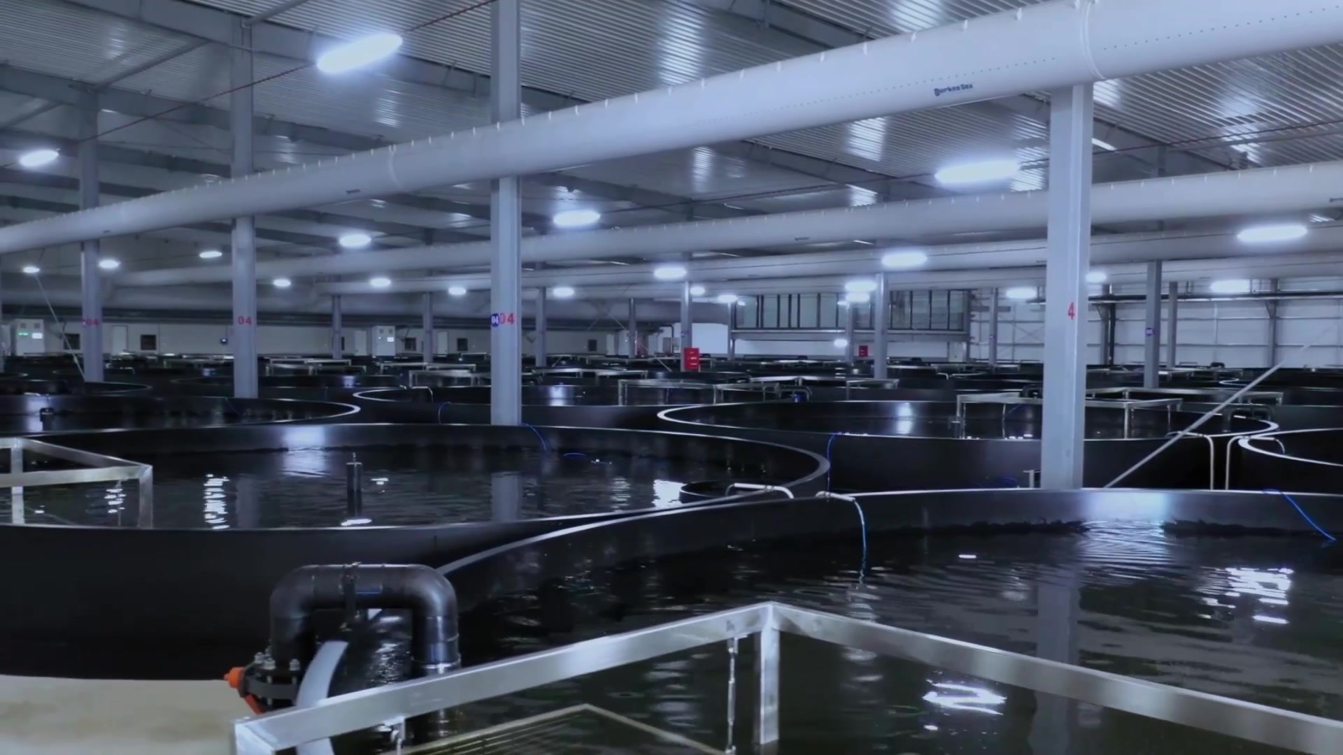 Recirculating Aquaculture System Total Solution