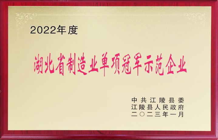 湖北省单项冠军