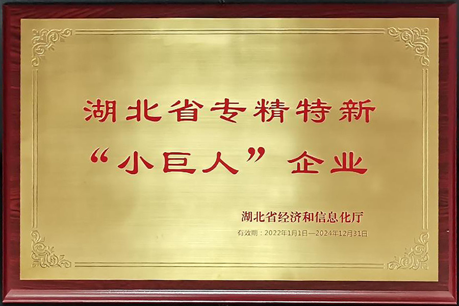 专精特新小巨人（2022-2024）