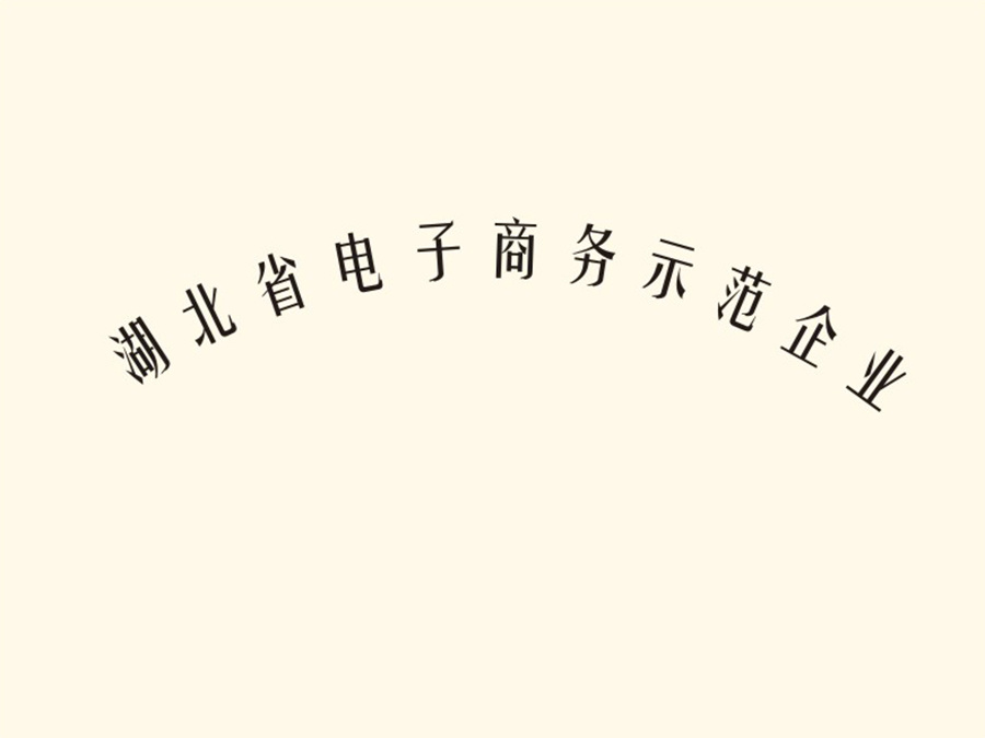 湖北省电子商务示范企业