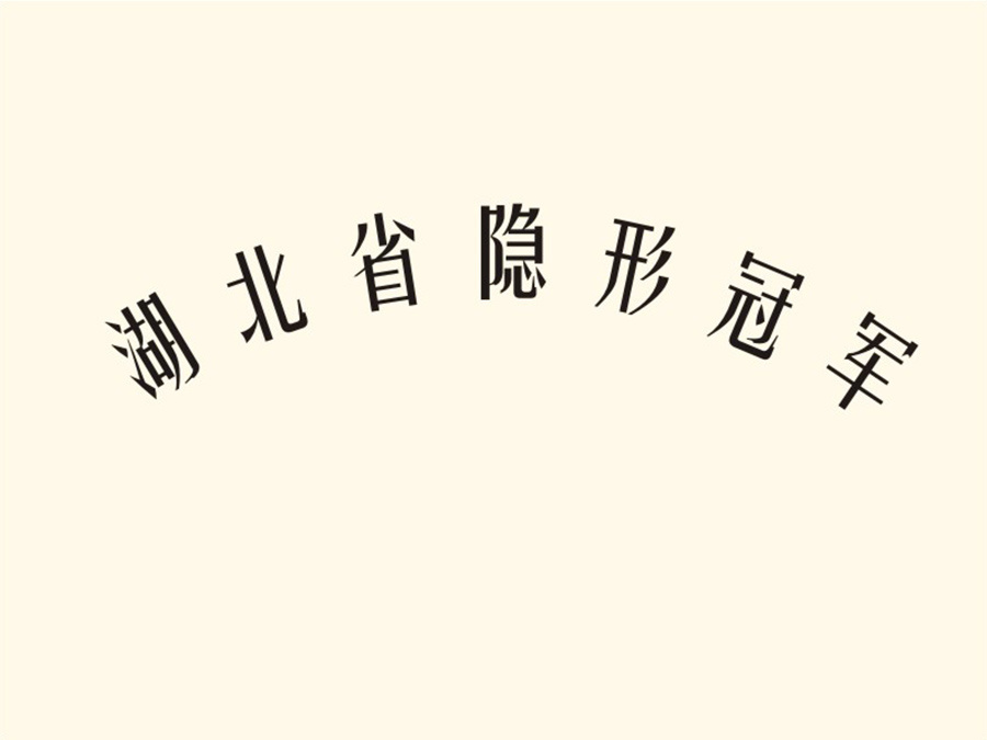 湖北省隐形冠军
