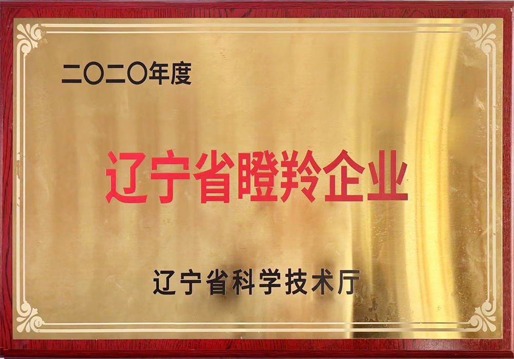 辽宁省瞪羚企业 辽宁省瞪羚企业