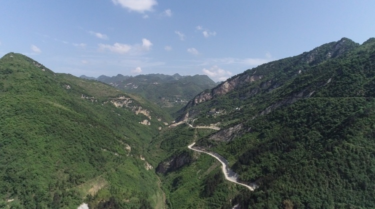 視頻標題