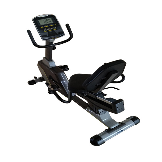 Luxury Horizontal Magnetic Control Bike