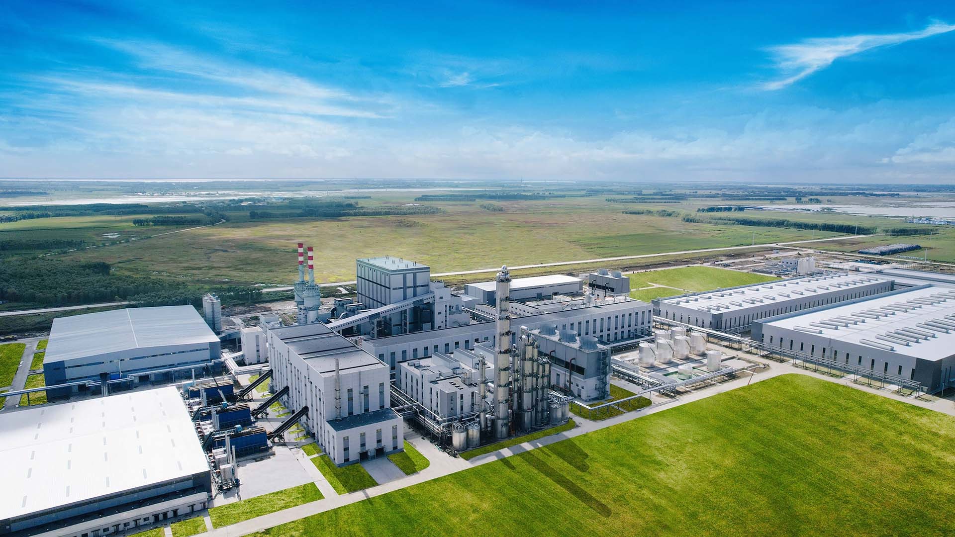 Biomass Methanol