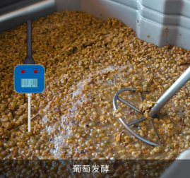 提升酒窖监控的秘密武器：无线传感器的应用