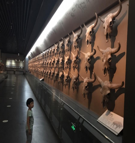 博物馆