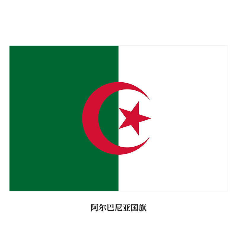 Double sided printed flag