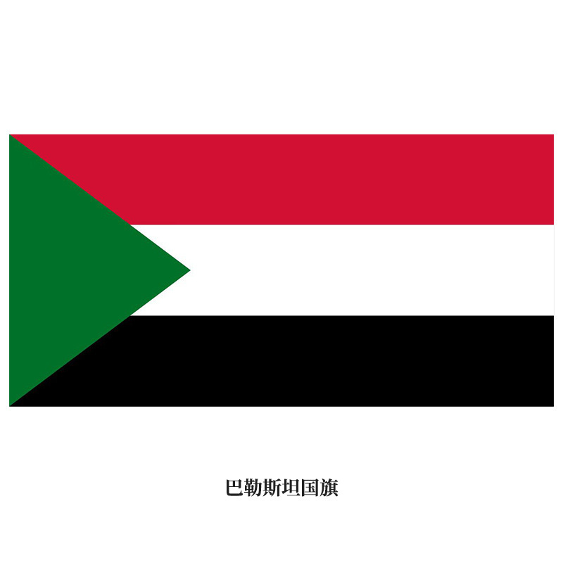 Double sided printed flag