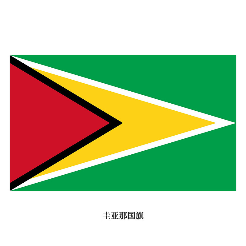 Double sided printed flag