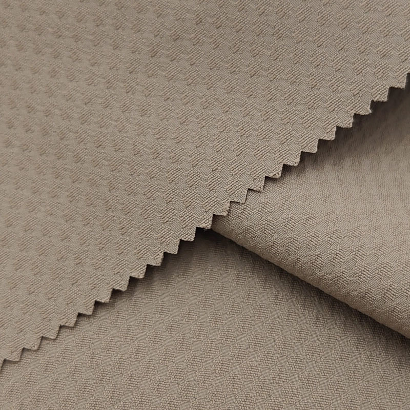 Cotton brocade with four-way elasticity