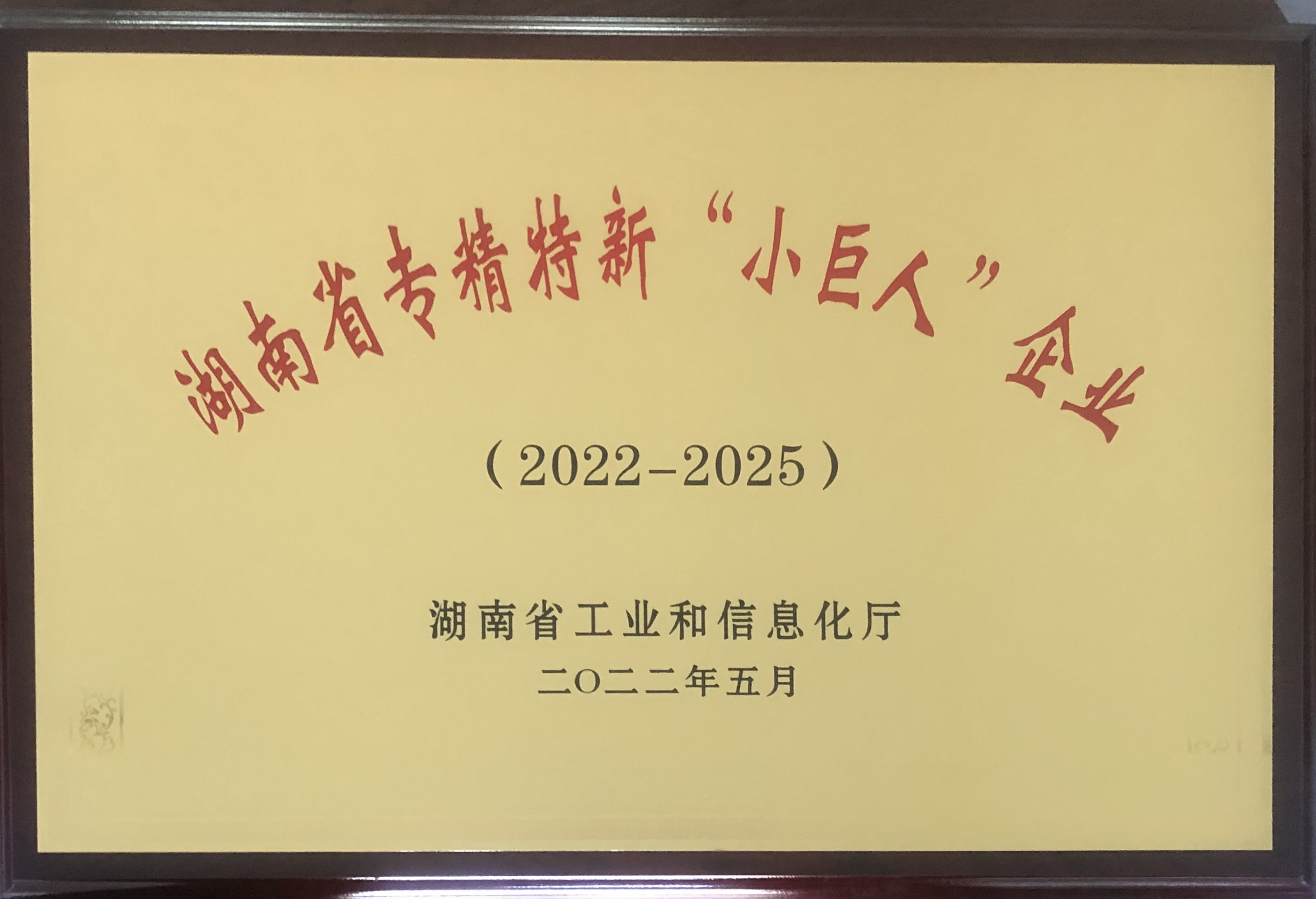 湖南专精特新小巨人企业