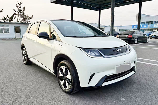 BYD Dolphin
