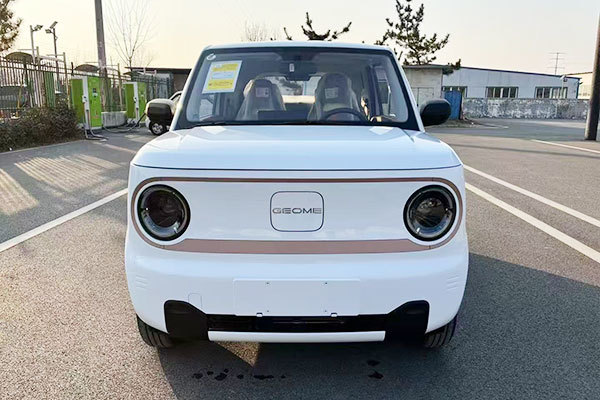 Geely Panda-Endurance Bear