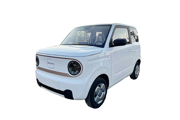 Geely Panda-Endurance Bear