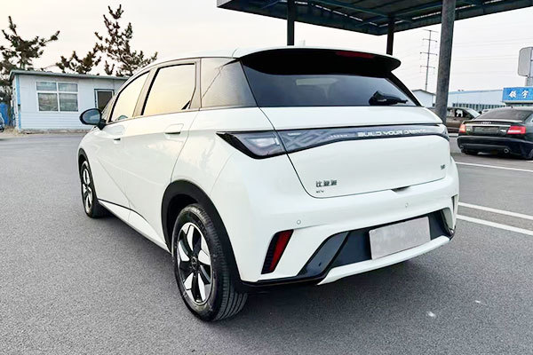 BYD Dolphin