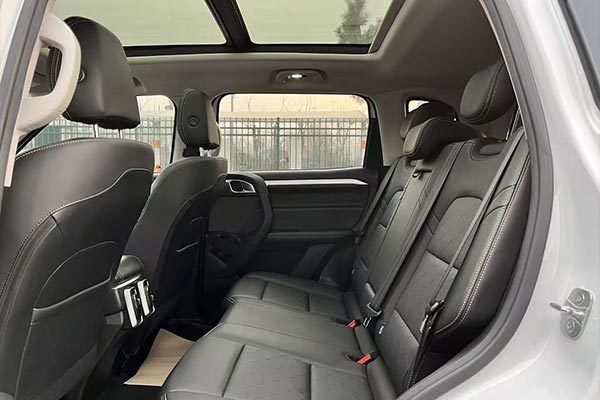 Haval Big Dog