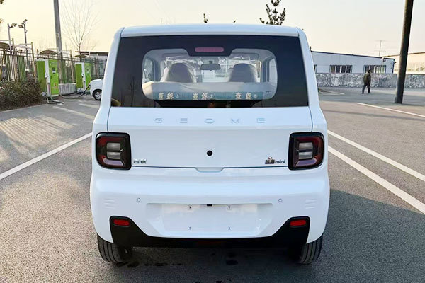 Geely Panda-Endurance Bear