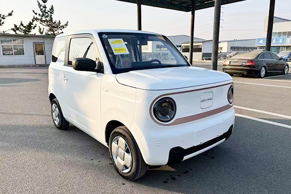 Geely Panda-Endurance Bear