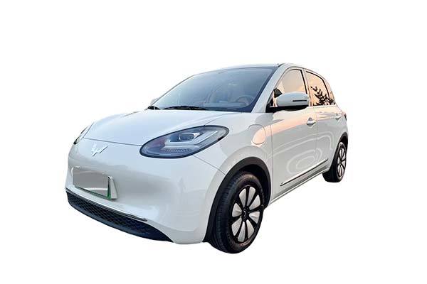 Wuling Hongguang Bingo