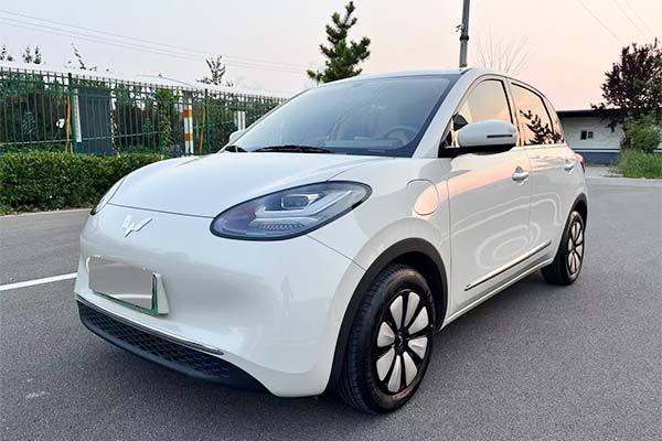 Wuling Hongguang Bingo