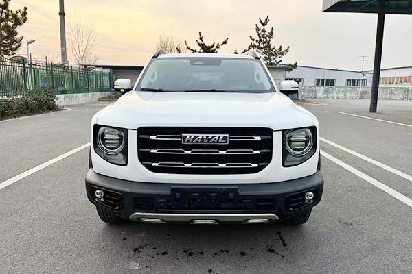 Haval Big Dog