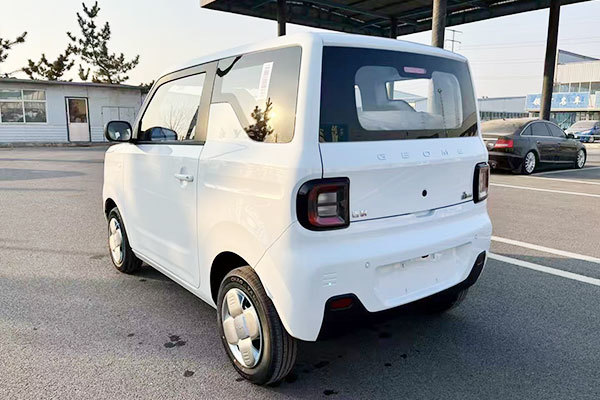 Geely Panda-Endurance Bear
