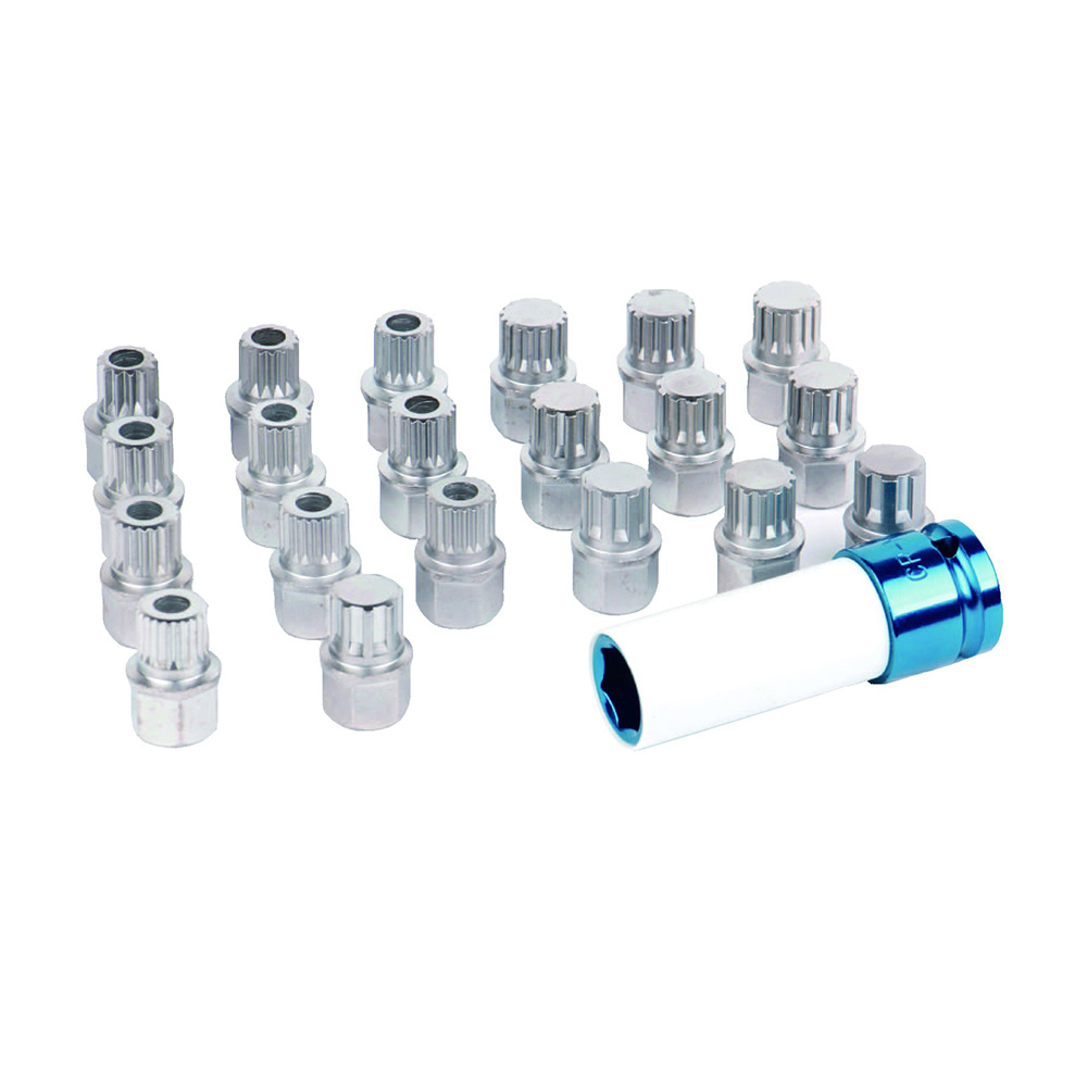 21pcs BMW wheel lock screw socket set