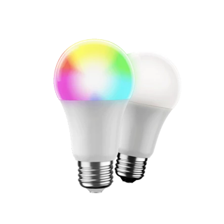 Electric Light Bulb