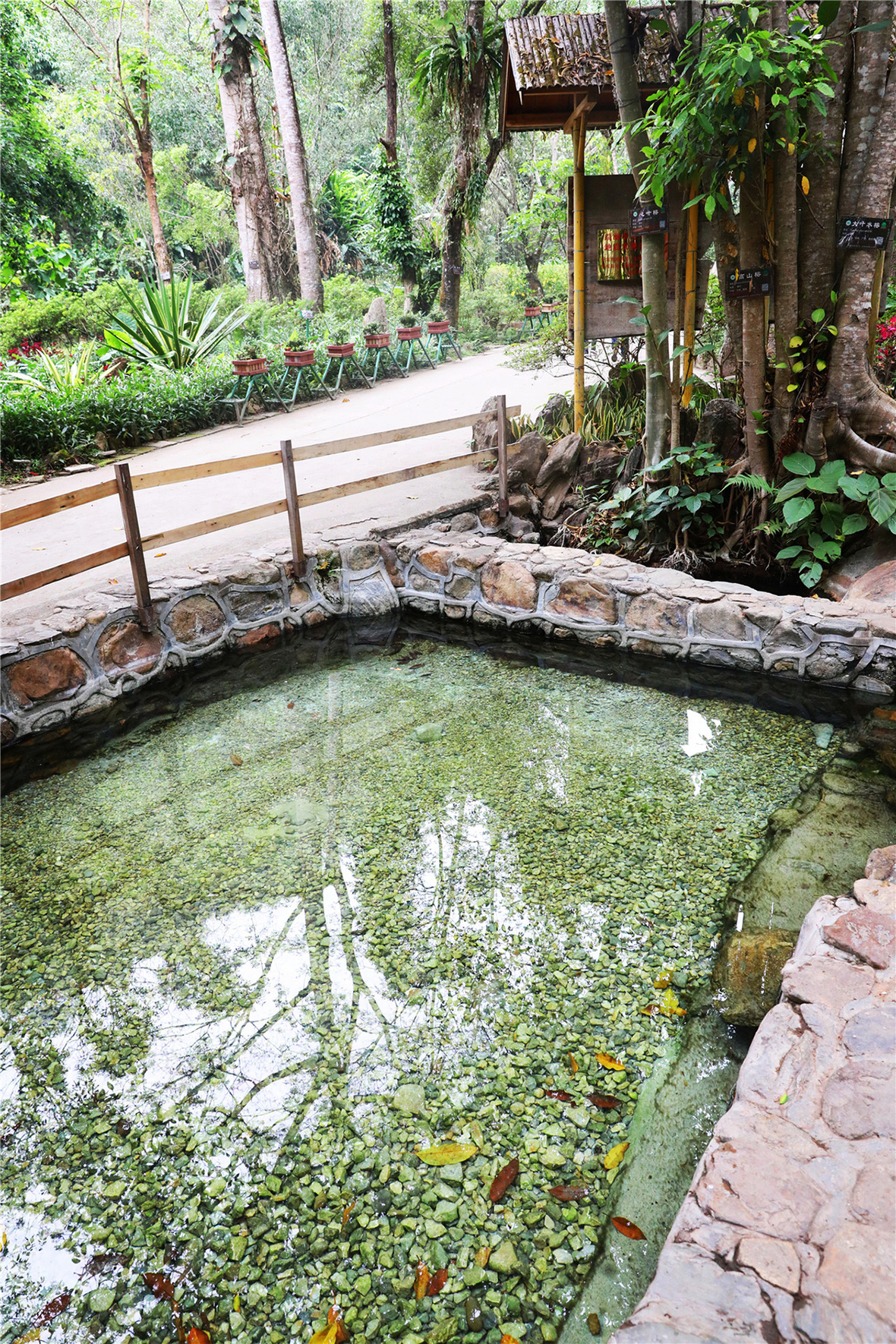 Buddha Bestowed Hot Spring