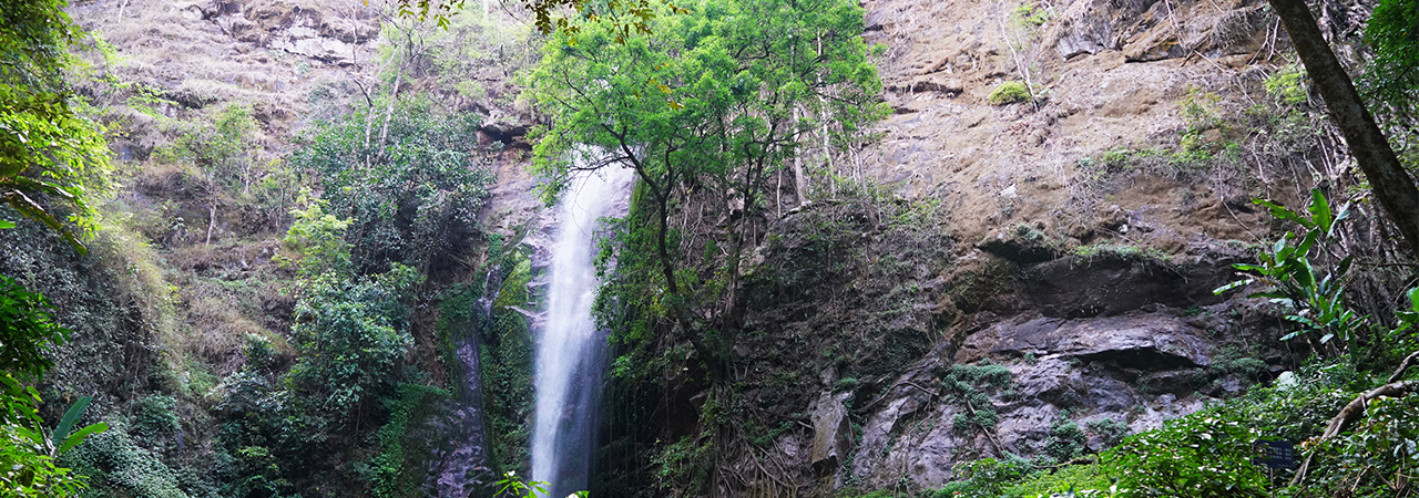 Moli Tropical Rainforest Scenic Area