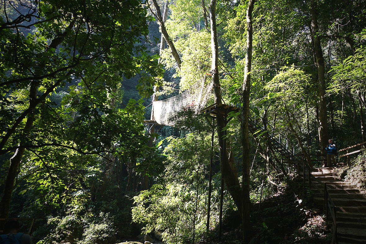Jungle Trekking
