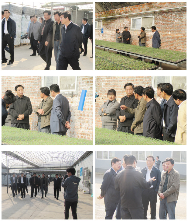 2013年10月市长来我公司参观考察